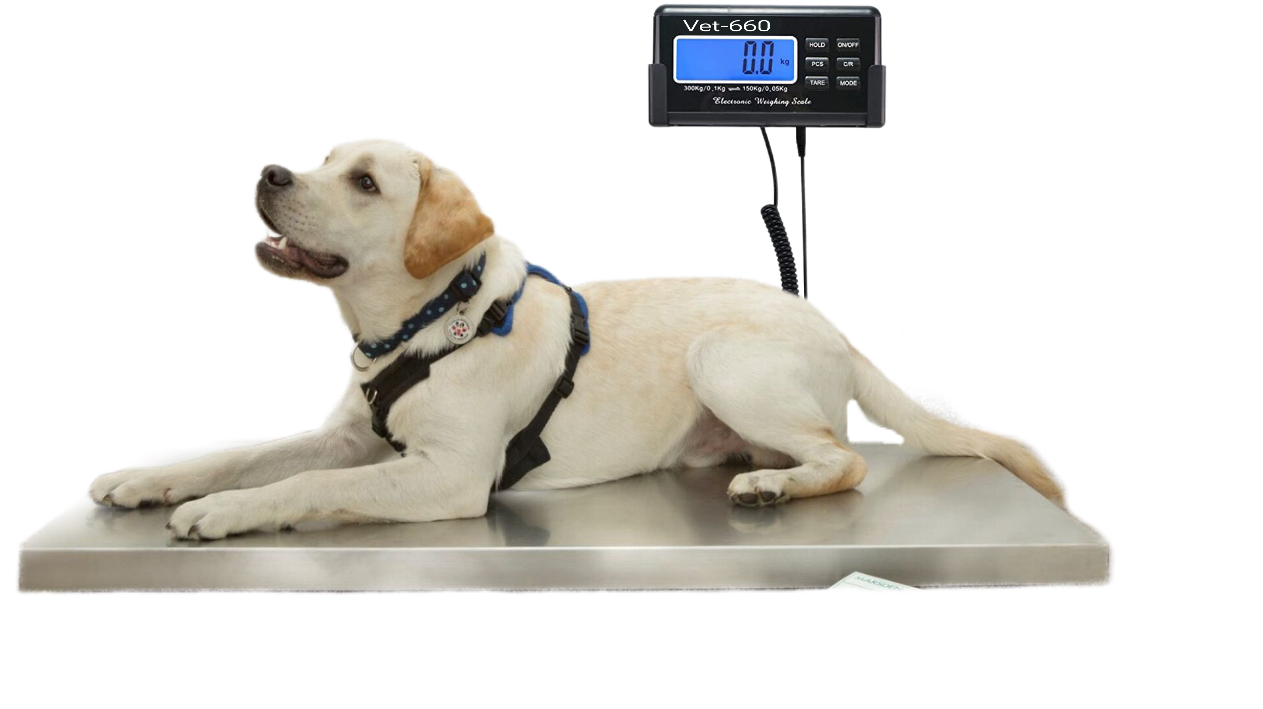 Pet Scale Dog Scales for Large Breed - 660LB Postal Digital Scale -  Stainless Steel Platform Heavy Duty Livestock Scale 