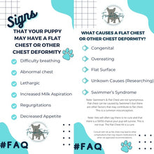 Load image into Gallery viewer, Puppy Flat Chest protector & treatment "bundle"All Sizes