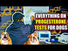 Load and play video in Gallery viewer, Pre-Sale: Ships October 1st *NEW* Hoëk Vet IF-1 Progesterone & Pregnancy Machine (2in1) and much more...