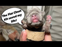 Load and play video in Gallery viewer, Puppy Flat Chest protector & treatment "bundle"All Sizes