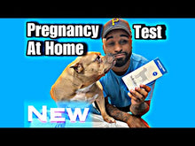 Load and play video in Gallery viewer, *New*(96% Accurate) Pregnancy Test for Dogs (BellyLabs)