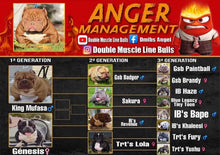 Load image into Gallery viewer, Lock in Anger Management