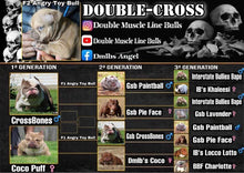 Load image into Gallery viewer, Lock in DoubleCross