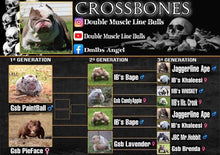 Load image into Gallery viewer, Lock in Crossbones