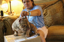 Load image into Gallery viewer, Lock in DoubleCross