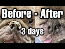 Load and play video in Gallery viewer, *NEW*Ruff Nose "Revolutionary (Pet Nose) Repair Balm"