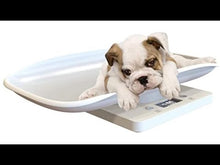 Load and play video in Gallery viewer, Neo-Natal Puppy Scale