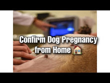 Load and play video in Gallery viewer, Canine Pregnancy test Kit (5ct)- Relaxin