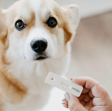 Load image into Gallery viewer, *New*(96% Accurate) Pregnancy Test for Dogs (BellyLabs)
