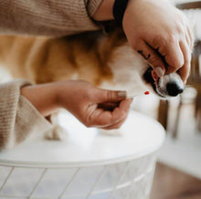 Load image into Gallery viewer, *New*(96% Accurate) Pregnancy Test for Dogs (BellyLabs)