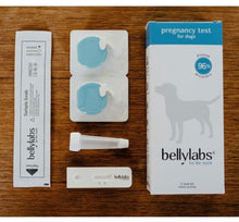 Load image into Gallery viewer, *New*(96% Accurate) Pregnancy Test for Dogs (BellyLabs)