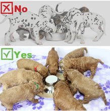 Load image into Gallery viewer, Stainless steel Weaning puppy food bowls