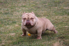 Load image into Gallery viewer, Lock in Wish-Bone