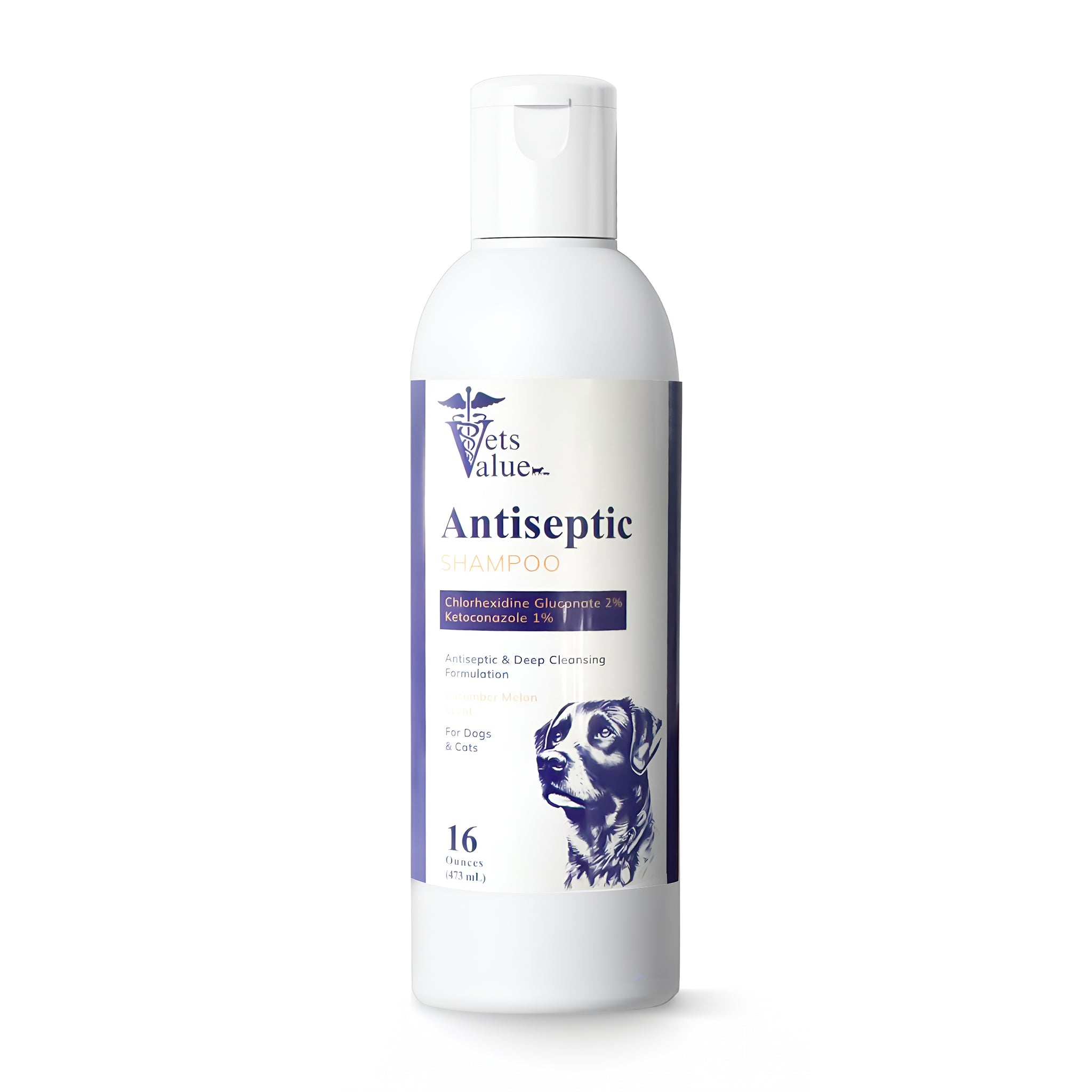 Dog decepcionada antiseptic shampoo