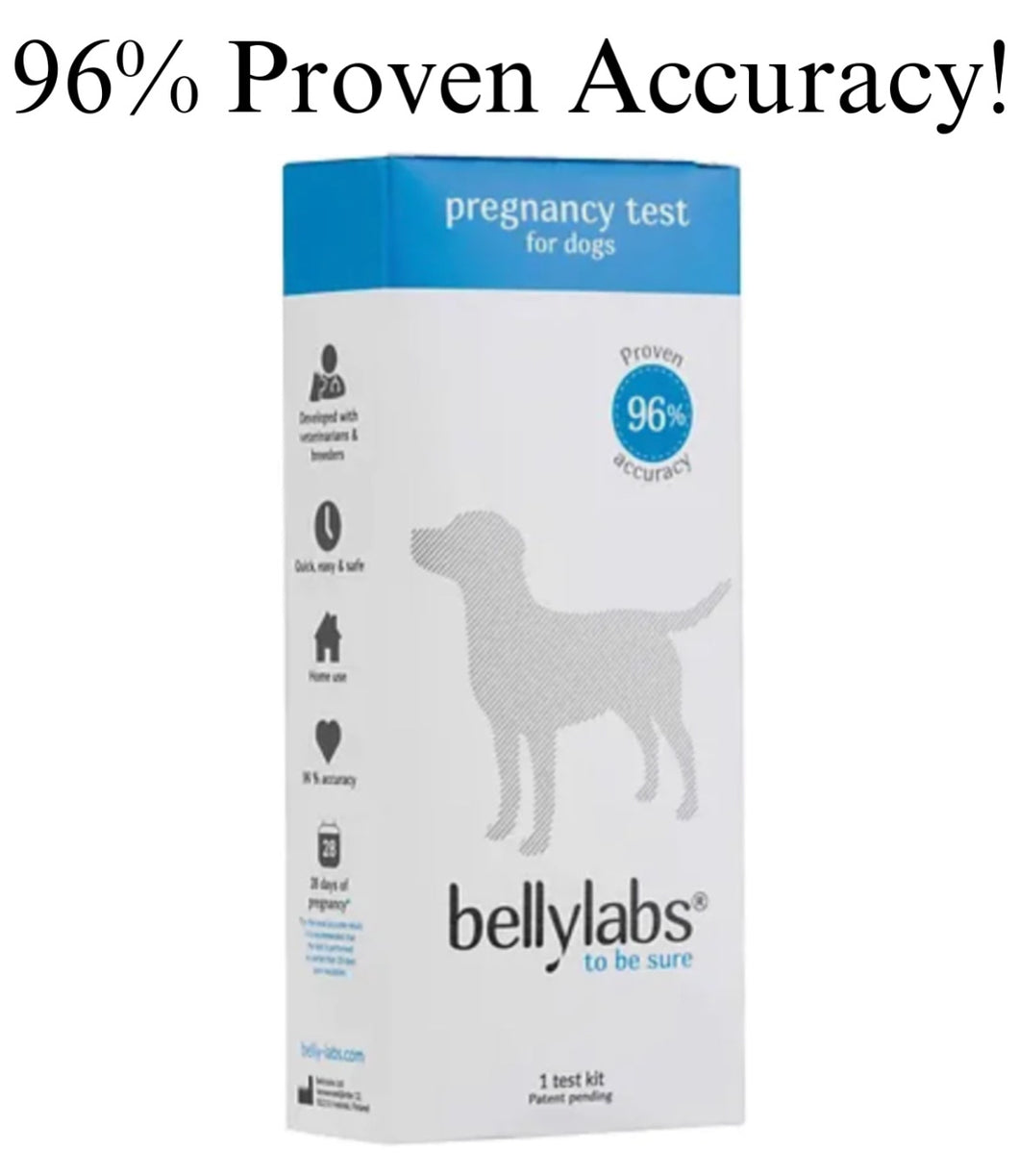*New*(96% Accurate) Pregnancy Test for Dogs (BellyLabs)