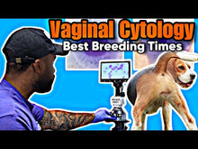 Charger et lire la vidéo dans la visionneuse de la Galerie, *NEW* HOËK Canine Vaginal Cytology Test Kit (Time Breedings)
