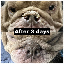 Load image into Gallery viewer, *NEW*Ruff Nose &quot;Revolutionary (Pet Nose) Repair Balm&quot;
